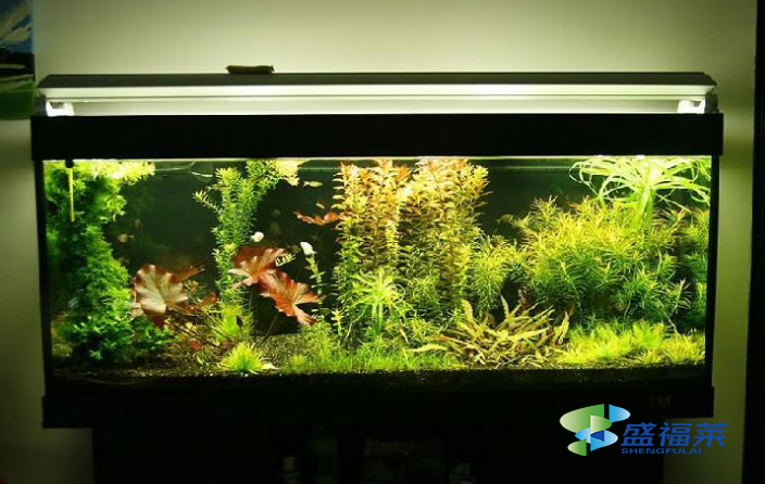 鱼缸里的活性炭能用多长时间 多长时间更换一次?