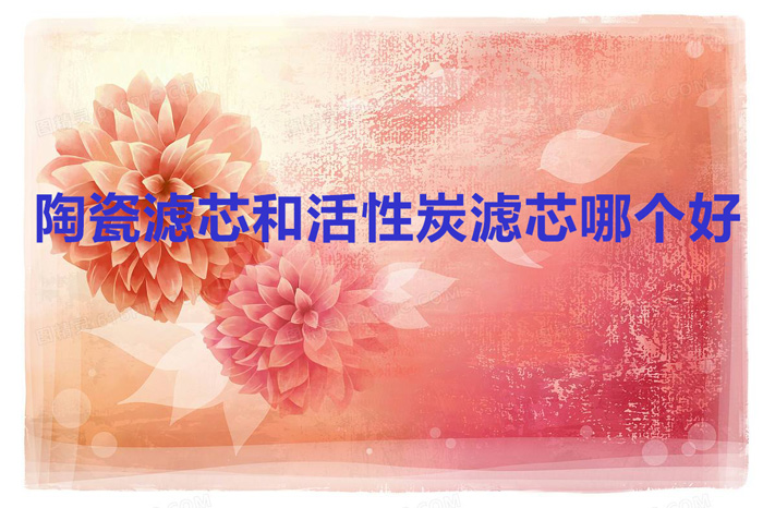 陶瓷滤芯和活性炭滤芯哪个好(陶瓷滤芯和活性炭滤芯有哪些不同)