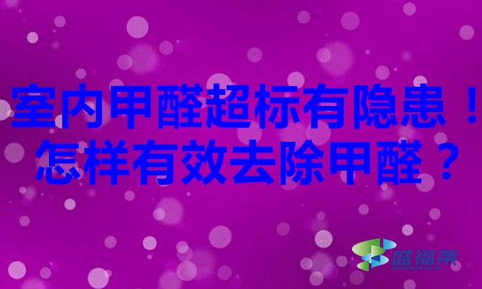 室内甲醛超标有隐患！怎样有效去除甲醛？