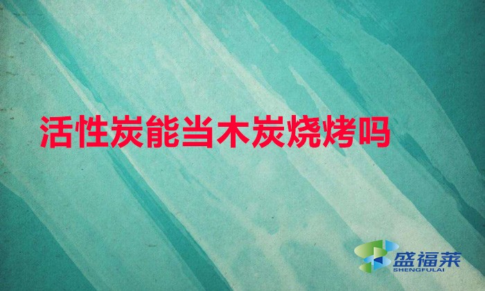 活性炭能当木炭烧烤吗(活性炭能烧烤吗)