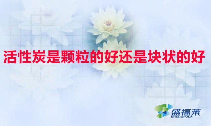 活性炭是颗粒的好还是块状的好