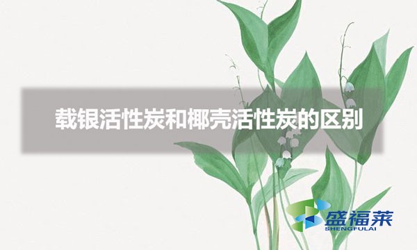 载银活性炭和椰壳活性炭的区别（载银活性炭与椰壳活性炭的特点）