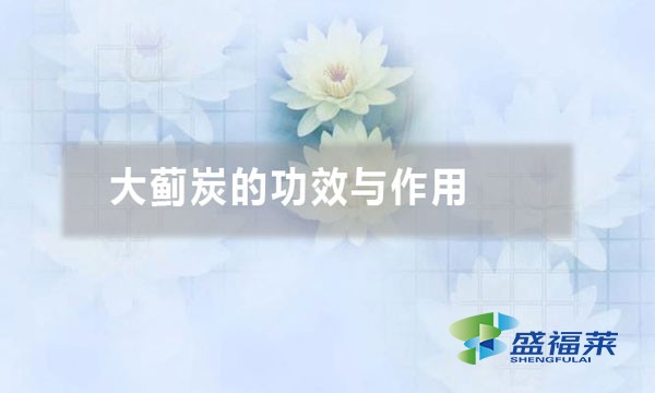 大蓟炭的功效与作用（大蓟炭的五大应用）