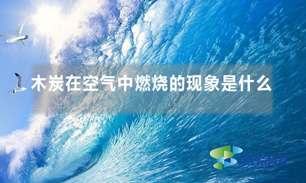 木炭在空气中燃烧的现象是什么
