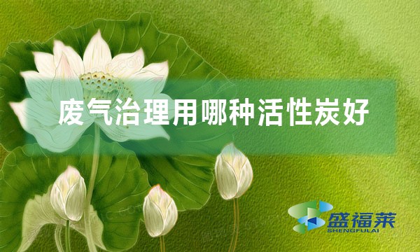 废气治理用哪种活性炭好?(过滤废气用哪些活性炭)