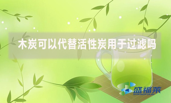 木炭可以代替活性炭用于过滤吗？