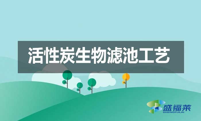 活性炭生物滤池工艺（BAC工艺升级案例）