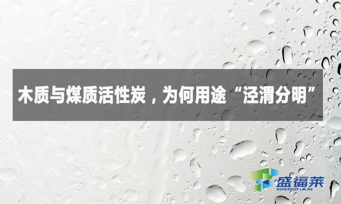 木质与煤质活性炭，为何用途“泾渭分明”?